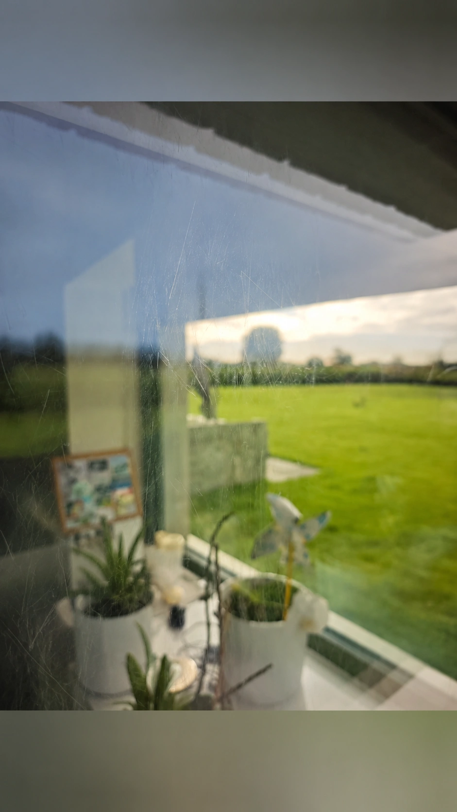 Window glass with visible surface scratches, reflections and a view of a green garden.