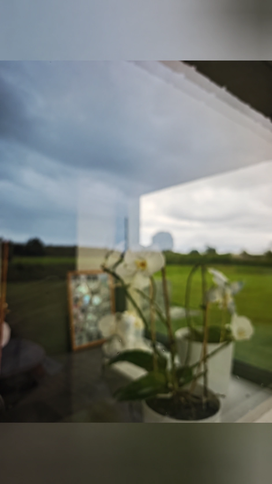 Window after restoration, with a garden view and indoor reflections visible in the glass.